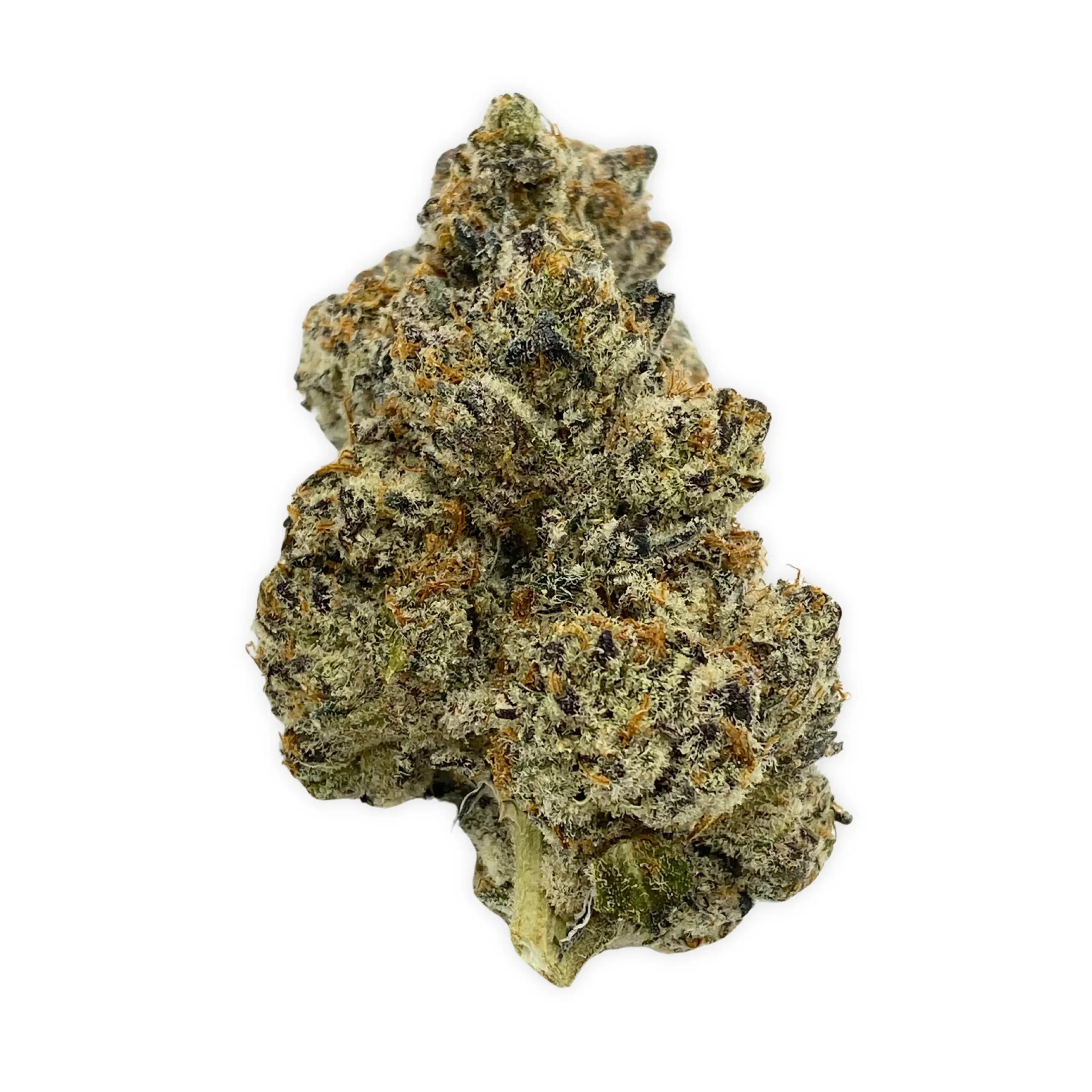 White Chocolate Chip THCA Flower PL (2)