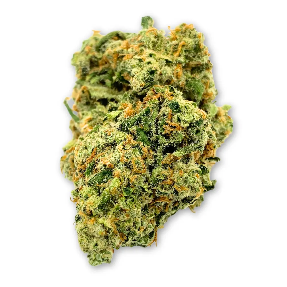 Jack Herer THCA Flower PL 8