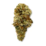 Devils Driver THCA Flower PL